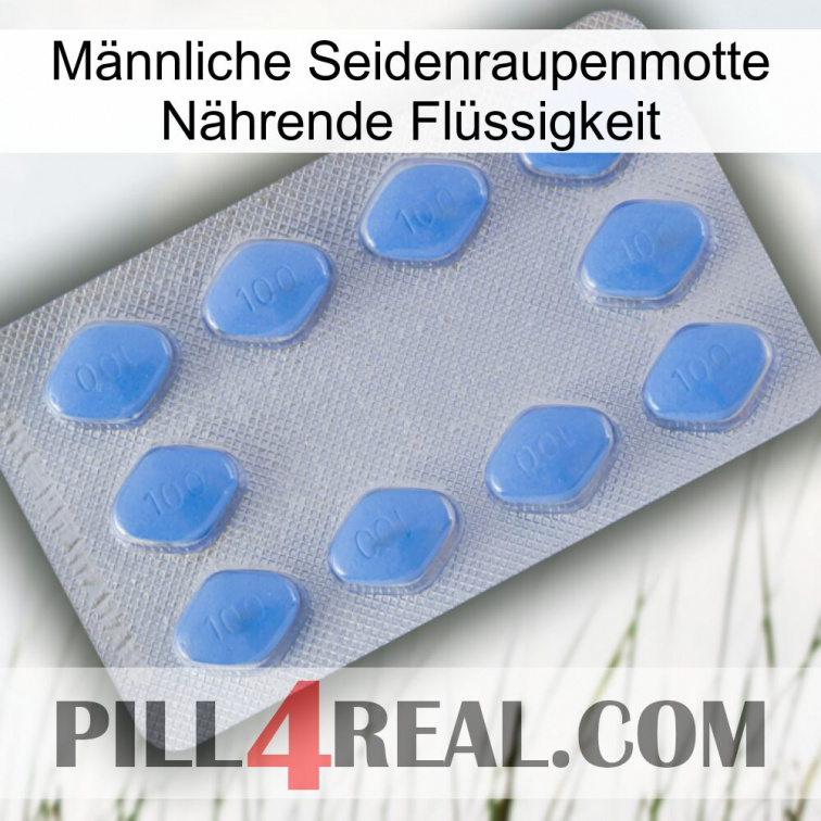 Männliche Seidenraupenmotte Nährende Flüssigkeit 21